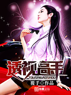 《透视高手》（校对版全本）作者：覆手 百度云txt全集下载 封面