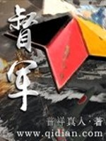 《督军》（校对版全本）作者：普祥真人 百度云txt全集下载 封面