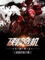 《硬核危机》（校对版全本）作者：迷路的鱼 百度云txt全集下载 封面