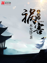 《大清之祸害》（校对版全本）作者：木允锋 百度云txt全集下载 封面