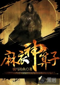 《麻衣神算子》（校对版全本）作者：骑马钓鱼 百度云txt全集下载 封面