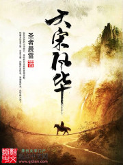 《大宋风华》（校对版全本）作者：圣者晨雷 百度云txt全集下载 封面