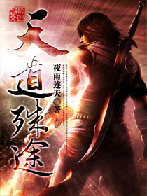 《天道殊途》（校对版全本）作者：夜雨连天 百度云txt全集下载 封面
