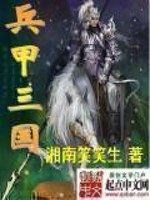 《兵甲三国》(校对版全本)作者:湘南笑笑生 百度云txt全集下载 封面