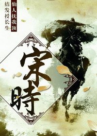 《宋时》（校对版全本）作者：一剑封喉 百度云txt全集下载 封面
