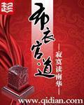 《布衣官道》（校对版全本）作者：寂寞读南华 百度云txt全集下载 封面
