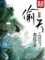 《偷天》（精校版全本）作者：血红 百度云txt全集下载 封面