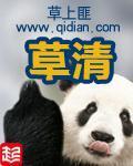 《草清》（校对版全本）作者：草上匪 百度云txt全集下载 封面