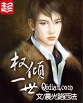 《权倾一世》(校对版全本)作者:晨光路西法 百度云txt全集下载 封面