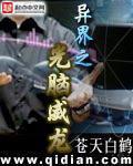 《异界之光脑威龙》（校对版全本）作者：苍天白鹤 百度云txt全集下载 封面