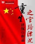 《重生之官路浮沉》(校对版全本)作者:浮沉 百度云txt全集下载 封面