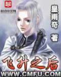 《飞升之后》(校对版全本)作者:皇甫奇 百度云txt全集下载 封面