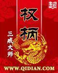 《权柄》（校对版全本）作者：三戒大师 百度云txt全集下载 封面
