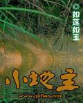 《小地主》（校对版全本）作者：如莲如玉 百度云txt全集下载 封面