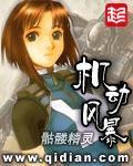 《机动风暴》（校对版全本）作者：骷髅精灵 百度云txt全集下载 封面