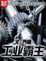《工业霸主》（校对版全本）作者：齐橙 百度云txt全集下载 封面