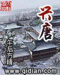 《兴唐》（校对版全本）作者：午后方晴 百度云txt全集下载 封面