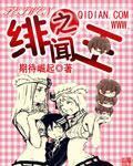 《绯闻之王》（校对版全本）作者：期待崛起 百度云txt全集下载 封面