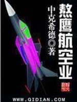 《熬鹰航空业》（校对版全本）作者：中克希德 百度云txt全集下载 封面