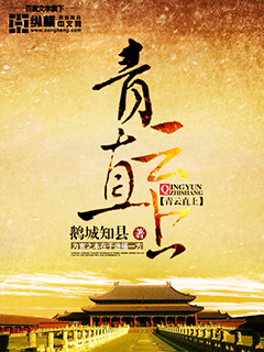 《青云直上》（校对版全本）作者：鹅城知县 百度云txt全集下载 封面