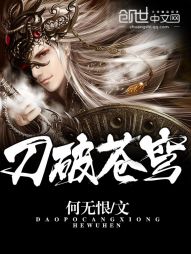 《刀破苍穹》（校对版全本）作者：何无恨 百度云txt全集下载 封面