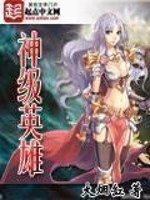 《神级英雄》(校对版全本)作者:大烟缸 百度云txt全集下载 封面