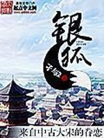 《银狐》（校对版全本）作者：孑与2 百度云txt全集下载 封面