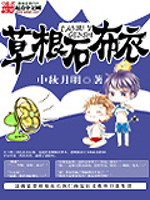《草根石布衣》（校对版全本）作者：中秋月明 百度云txt全集下载 封面