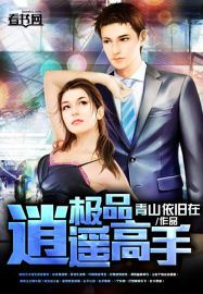 《极品逍遥高手》（校对版全本）作者：青山依旧在 百度云txt全集下载 封面