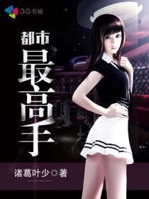 《都市最高手》（校对版全本）作者：诸葛叶少 百度云txt全集下载 封面