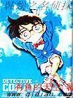 《韩娱之名侦探》（校对版全本）作者：有鱼的天空 百度云txt全集下载 封面