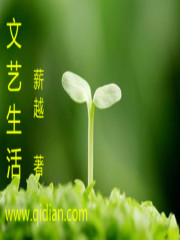 《文艺生活》（校对版全本）作者：薪越 百度云txt全集下载 封面