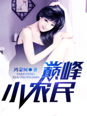 《巅峰小农民》（校对版全本）作者：鸿蒙树 百度云txt全集下载 封面