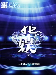 《华娱》（校对版全本）作者：二手男人当自强 百度云txt全集下载 封面