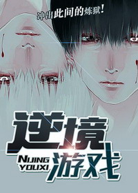 《逆境游戏》（校对版全本）作者：肥狐狸 百度云txt全集下载 封面