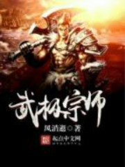 《武极宗师》（校对版全本）作者：风消逝 百度云txt全集下载 封面
