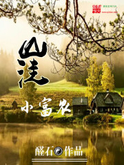 《山洼小富农》（校对版全本）作者：醛石 百度云txt全集下载 封面