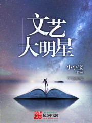 《文艺大明星》（校对版全本）作者：卖萌无敌小小宝 百度云txt全集下载 封面