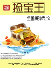 《捡宝王》（校对版全本）作者：全金属弹壳 百度云txt全集下载 封面