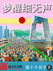 《梦醒细无声》（校对版全本）作者：第十个名字 百度云txt全集下载 封面