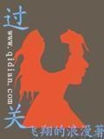 《过关》（校对版全本）作者：飞翔的浪漫 百度云txt全集下载 封面
