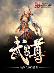 《光脑武尊》(校对版全本)作者:晚间八点档 百度云txt全集下载 封面