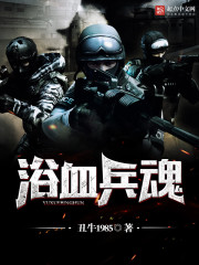 《浴血兵魂》（校对版全本）作者：丑牛1985 百度云txt全集下载 封面