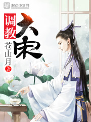 《调教大宋》（校对版全本）作者：苍山月 百度云txt全集下载 封面