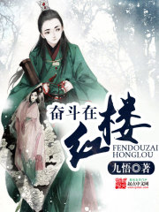 《奋斗在红楼》（校对版全本）作者：九悟 百度云txt全集下载 封面