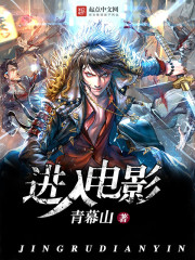《进入电影》（校对版全本）作者：青幕山 百度云txt全集下载 封面