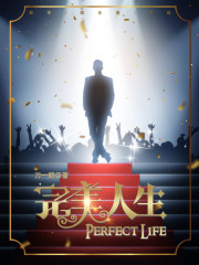 《完美人生》（校对版全本）作者：刀一耕 百度云txt全集下载 封面