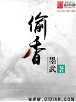 《偷香》（校对版全本）作者：墨武 百度云txt全集下载 封面