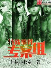 《特殊事件专案组》（校对版全本）作者：伴读小牧童 百度云txt全集下载 封面
