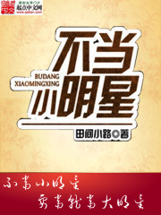 《不当小明星》（校对版全本）作者：田间小路 百度云txt全集下载 封面